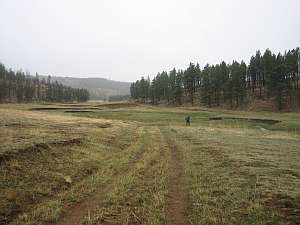 Valle Vidal Dennis in Ponil